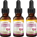 Lovita Echinacea Extract Liquid | 1 FL OZ | 350 mg의 서빙 | 농축 허브 Tincture | Vegan | Alcohol-Free | Elderberry 및 Licorice Extract (Pack of 3)