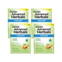 Dramamine Ginger Chews, Nausea, Lemon Honey Ginger 풍미, 20 Soft Chews (4의 포장)와 도움말