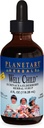 행성 초본 Echinacea-Elderberry 시럽, 4개의 fl oz (128.28 ml)