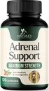 Adrenal 지원은 외피 Complex, 제일 에너지 보충교재, 지원 Cortisol 건강 & 에너지 수준, 여자 & 남자를 위한 매일 Ashwagandha, 지원 Adrenal 피로 & 면역 체계, 120의 캡슐을 보충합니다