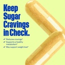 Sugarless Stop Sugar Cravings Supplement, Natural Curb Appetite 및 Sugar Suppressant Formula Support w/Chromium Picolinate + Berberine Supplement, 여성 및 남성용 비 GMO Hunger Suppressant (60 ct)