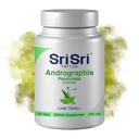 Andrographis Paniculata 보충제 - 60 정제 공장 기반 초본 호흡 웰니스 - 면역 강화 정제 - 500 Mg 유기 녹색 Chiretta 허브