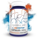 Nootropics Depot BaCognize Bacopa Monnieri 300mg 캡슐 (120 조사) Ayurvedic 허브 비 GMO, 글루텐 무료 및 채식 친화적 인