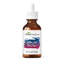 허브 굿니스 Bitter But No Crap Liquid Supplement for Body Cleanse, Energy Support and Health Boost | Non-GMO Burdock Root Organic, Bitter Melon, Maca Root, Dandelion Root - 병당 2 fl oz