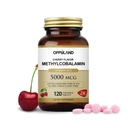 메틸 B-12 Folate를 가진 5000mcg Chewable - 비타민 B12 Methylcobalamin 이하 언어 정제 - 지원 에너지 & 뇌 기능 - 채식 보충교재 - 체리 풍미 - 120 조사
