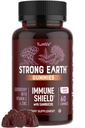 강한 지구 Elderberry Gummies – 비타민 C & 아연과 Sambucus Elderberry Immune 지원 – 검은 Elderberry Gummies, Berry 맛, 비 GMO, 글루텐 무료, Kosher – 60 카운트