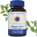 Rejuvenation Therapeutics 높은 효능 Ellagic 산성 캡슐 250mg | 향상된 면역력 및 강화 스트레스 | 프리미엄 유기농 및 채식 | 30 캡슐 250 mg