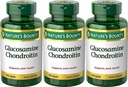 Nature's Bounty Glucosamine Chondroitin Complex, 110 개 (포장 3)
