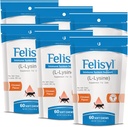 고양이 (60 Soft Chews) 용 L-Lysine Soft Chews – 면역, 호흡 및 눈 건강을 지원합니다. 뱀, 토끼 코, 그리고 물 눈. 연어 맛 - (6 팩)