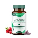 크랜베리 알약 - 유린 트랙 건강 크랜베리 보충 - 유력한 PACs의 36mg - 비 GMO, Vegan, 글루텐 무료 - Heale - 30 캡슐