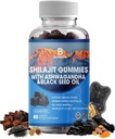Shilajit Gummies, Shilajit, 수지, 85 + 추적 무기물, Fulvic 산, Phytonutrients, 비타민 C, D, B12, Ashwagandha, Chaga Mushroom, Turmeric, 에너지, 면역 지원