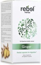 Rebel 허브 생강 캡슐 강력한 이중 추출물, 비 GMO, 글루텐 무료, 생강 뿌리 (Rhizome) 추출물