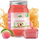 ACEYO (18 OZ) 아일랜드어 바다 Moss 젤 유기 익지않는 Vegan 복숭아 풍미 102 비타민과 무기물 야생 Harvested Non-GMO Immune 방위 승압기 Thyroid 소화 지원