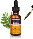 허브 Pharm Thuja 분기 액체 추출 - 1 Ounce (DTHUJA01)
