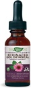 자연의 방법 프리미엄 공식 Echinacea-Goldenseal, 봉사 당 250 mg, 99.9% 알콜 자유로운, 1.01 Oz.