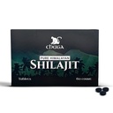 Chuga Pure Himalayan Shilajit Tablets for Men & Women | 유기농 Shilajit Harvested 16,000 피트 | 미국, 75+ Fulvic Acid, A, Immune Booster, Shilajit Tablet, 60 서빙 (1)