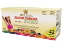 HYLEYS Tea Garcinia Cambogia 녹차 - 42 티백