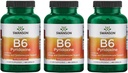 Swanson B6 Pyridoxine - 비타민 보충 심혈관 건강 및 에너지 대사 촉진 - 전반적인 웰빙을 촉진하는 천연 공식 - (250 캡슐, 100mg 각각) 3 팩
