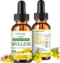Lungs, Lung Detox & Smoker, Lungs w. Elderberry, Ginger, Mullein Tincture Alcohol Free for Respiratory Lung Health 2 FL/OZ 용 유기 Mullein 잎 추출물