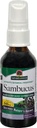 자연의 답변 Sambucus Syrup Extract Spray 2 Fluid Ounces | Immune Booster on the Go | 여행 친화적 인 | 항 산화제 풍부한 | 천연 면역 지원