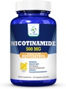 Nicotinamide 500mg는 w를 강화했습니다. Resveratrol 100mg 120 Veggie 캡슐 4 달까지 공급 비타민 B3 w. 산화 방지제 모든 자연적인 규정식 보충교재 지원 세포질 건강 에너지 & 노후화 Gracefully