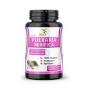 태국에서 수입되는 순수한 Pueraria Mirifica 보충교재 500mg 뿌리 추출물 분말 - 여성 건강, 유기 자연적인 초본, 60의 Veggie 캡슐을 승진시킵니다