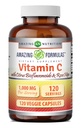 놀라운 수식 비타민 C (아스코르브산) 로즈 엉덩이와 1000 Mg & 감귤류 바이오 플라보노이드 | Veggie 캡슐 보충 | 비 GMO | 글루텐 프리 | 미국 (120 개)