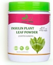 JAGGY 인슐린 식물 잎 분말 (Costus Igneus) 200g (7.1 oz) 자연적인 인슐린 식물 분말 (65 일 공급)