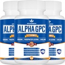 15in-1 알파 GPC는 Phosphatidylserine, Uridine, L-Theanine, 사자 Mane 버섯, 180 캡슐을 가진 보충교재