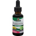 자연?s 대답 Peppermint 잎 Mentha x Piperita 글루텐 알콜 자유로운 초본 보충교재 지원 건강한 소화 기능*? 1개의 FL Oz