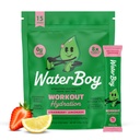워터보이 운동 히드라이즈 | 2,960mg 슈가프리 일렉트로테 파우더 패킷 | L-Glutamine + Vitamin | No Sugar, All Natural, Gluten Free | 15 Drink Stick Mixs (Strawberry Lemonade)