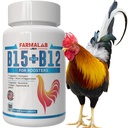 Roosters B15 B12 para Gallos 100 정제를 위한 Farmalab B12 B15