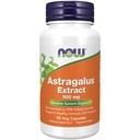 지금 음식 면역 지원 보충교재, Astragalus 추출물 500 mg (70% 다당류에 표준화되는), 90의 Veg 캡슐
