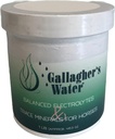 Gallagher의 물은 말, 1LB를 위한 Electrolytes와 추적 무기물 균형을 잡았습니다