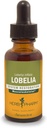 Musculoskeletal 시스템 지원을위한 허브 Pharm 인증 유기 Lobelia 액체 추출물 - 1 Ounce (DLOBEL01)