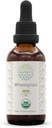 HerbEra Wheatgrass B60 USDA 유기 Tincture | 알콜 자유로운 추출물, 높 순수성 초본 하락, 액체 보충교재 | 증명된 유기 Wheatgrass (Triticum aestivum) 말린 잎 (2개 oz)