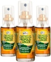 Beelife Propolis Throat 스프레이– Soothing 꿀 & Ginger Propolis 스프레이- 자연 면역 지원 & 꿀벌 프로 폴리스 추출물 산화 방지제, Flavonoids & Artepillin, 설탕 없음, 글루텐 - 무료 3-Pack, 90ml