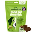 개 Gut 건강을위한 Probiotic Chews | 호박 개 프로바이오틱스와 소화 효소 효소가있는 Dogs Digestive 건강을위한 맛있는 사전 및 프로바이오틱스 | NASC 인증 및 미국에서 제작 | 90 Chews