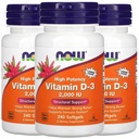 지금 식품 비타민 D-3, 50 mcg (2,000 IU), 240 Softgels, 3 팩