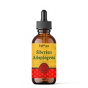 Siberian Adaptogens Maral, Spikenard, Eleuthero, Red Ginseng, Rhodiola, Schisandra, Licorice, Peony, & More - Boost 에너지 강화, 초점 감소 스트레스, 2 유체 oz (60 ml)