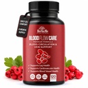 혈액 순환 보충교재, 120의 캡슐, 지원 다리 정맥, 심장, 혈관 및 Niacin, L Arginine, Ginger, Cayenne Pepper, Hawthorn, Diosmin의 혈액 교류 알약을 가진 심장 혈관 건강