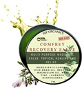 SSF 유기 Comfrey 회복 살베. Bones, 근육, 합동, 무릎, 피부, 팽윤 & 문신 배려를 위한 유기 초본 발기. 수공, 느린 주입. 화학 충전물 없음. 2개 oz
