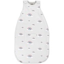 Woolino Merino Wool Ultimate Baby Sleep Sack - 4 시즌 아기 착용 할 수있는 담요 - 아기와 유아를위한 2 웨이 지퍼 조절 가능한 수면 가방 - 보편적 인 크기 (2-24 개월) - 레인보우