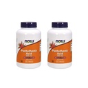 지금 음식 Pantothenic 산 500 mg, 250 캡슐 (2 팩)