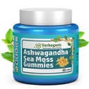 HERBOGANIC Ashwagandha Sea Moss Gummies - 60 개