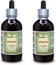 유기 Sassafras (Sassafras Albidum) 글리세라이트, 건조 정제 알코올 무료 액체 추출 (브랜드 이름: HerbalTerra, Proudly Made in USA) 2x4 fl.oz (2x120 ml)