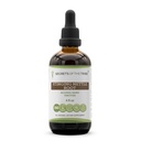 Tribe의 비밀 - Nettle Root Tincture 알코올 추출, Sting Nettle (Urtica Dioica) 건조 루트 4 OZ