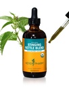 허브 Pharm Sting Nettle Blend 액체 추출 - 4 Ounce