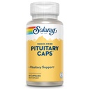 SOLARAY Pituitary 모자 냉동 건조, 캡슐 (Btl-Plastic) 196mg | 60ct