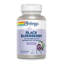 Solaray - Sambuactin Elderberry 추출물, 60 Lozenges